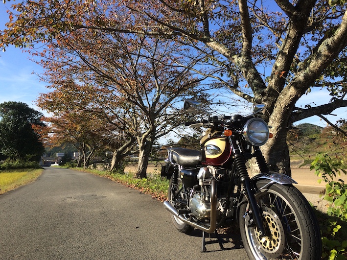 f:id:gemini-yahata:20191102225419j:plain f:id:gemini-yahata:20191102225419j:plain