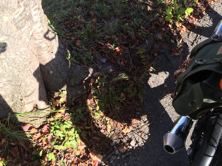 f:id:gemini-yahata:20191102225428j:plain f:id:gemini-yahata:20191102225428j:plain