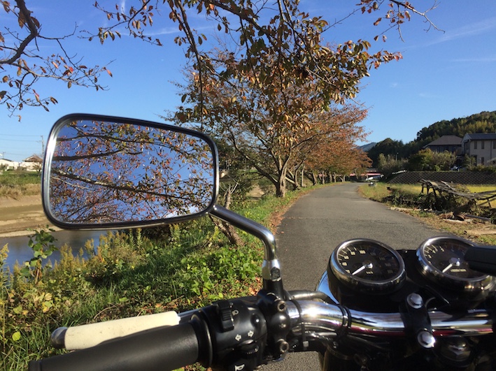 f:id:gemini-yahata:20191102225435j:plain f:id:gemini-yahata:20191102225435j:plain