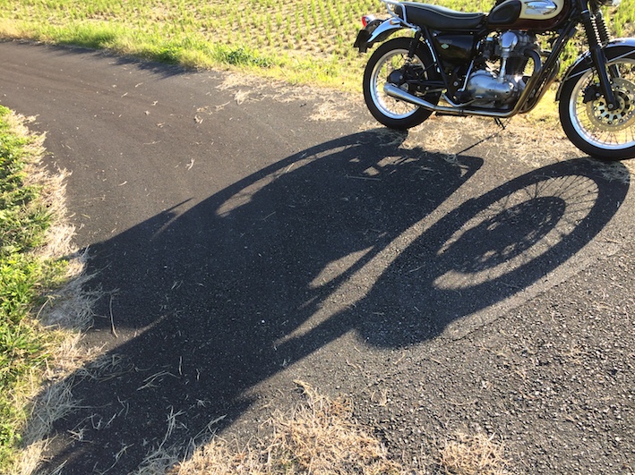 f:id:gemini-yahata:20191102225504j:plain f:id:gemini-yahata:20191102225504j:plain