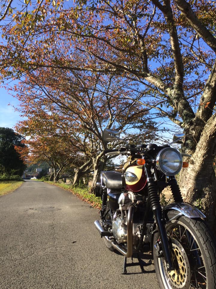 f:id:gemini-yahata:20191103001017j:plain f:id:gemini-yahata:20191103001017j:plain