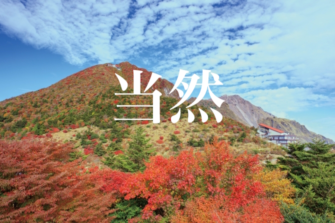 f:id:gemini-yahata:20191106165105j:plain