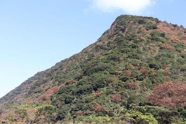 f:id:gemini-yahata:20191108183506j:plain