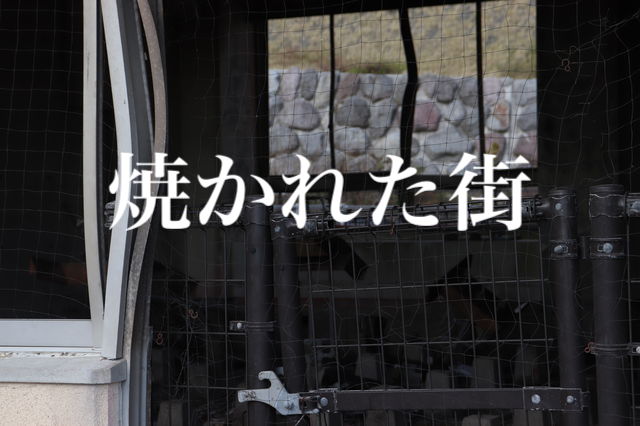 f:id:gemini-yahata:20191112192023j:plain