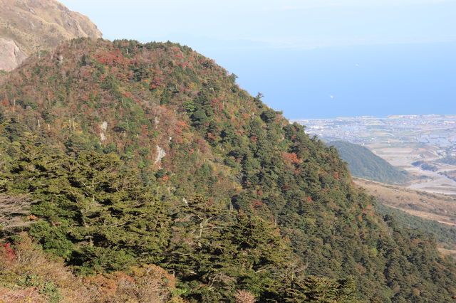 f:id:gemini-yahata:20191118152352j:plain