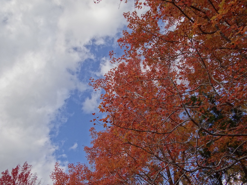 f:id:gemini-yahata:20191119224711j:plain