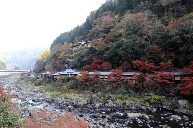 f:id:gemini-yahata:20191126105339j:plain f:id:gemini-yahata:20191126105339j:plain