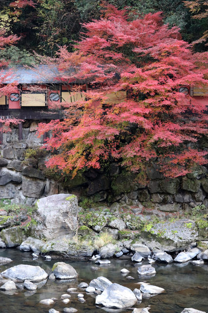 f:id:gemini-yahata:20191126105342j:plain f:id:gemini-yahata:20191126105342j:plain