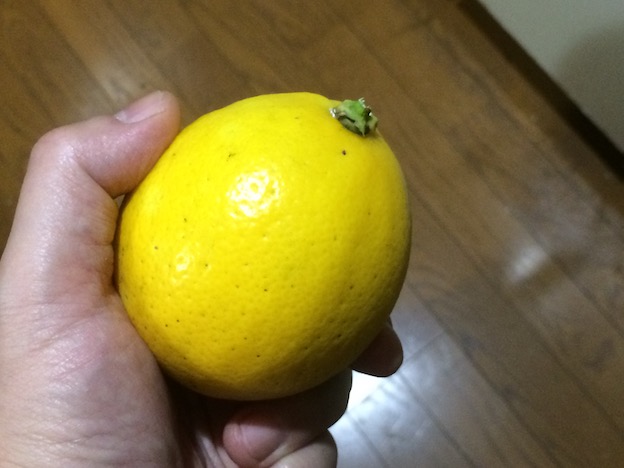 f:id:gemini-yahata:20191220155131j:plain