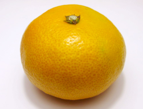 f:id:gemini-yahata:20191229102754j:plain f:id:gemini-yahata:20191229102754j:plain