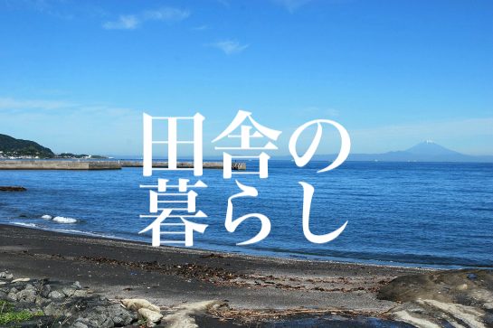 f:id:gemini-yahata:20200126160754j:plain