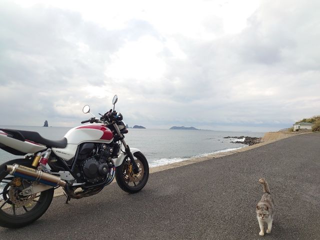 f:id:gemini-yahata:20200203131859j:plain