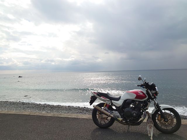 f:id:gemini-yahata:20200203132041j:plain