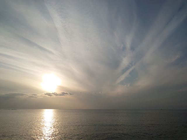 f:id:gemini-yahata:20200211095456j:plain