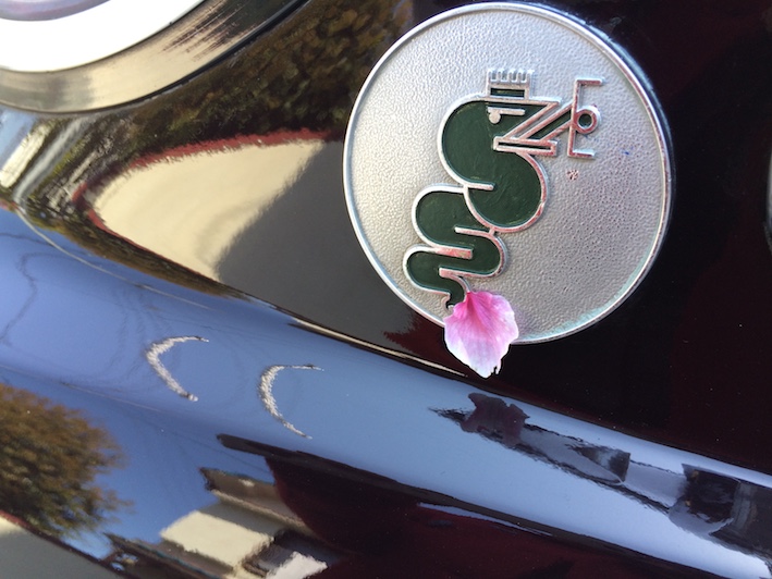 f:id:gemini-yahata:20200409002616j:plain f:id:gemini-yahata:20200409002616j:plain