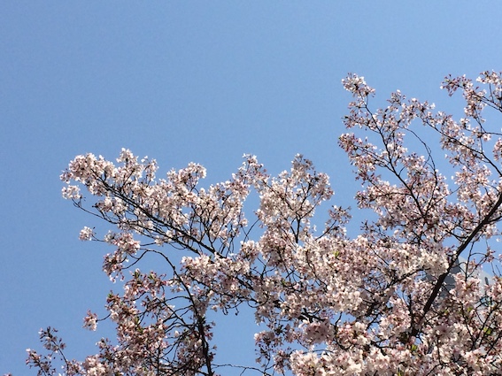 f:id:gemini-yahata:20200409130254j:plain