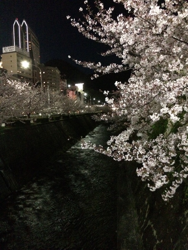 f:id:gemini-yahata:20200411132210j:plain f:id:gemini-yahata:20200411132210j:plain