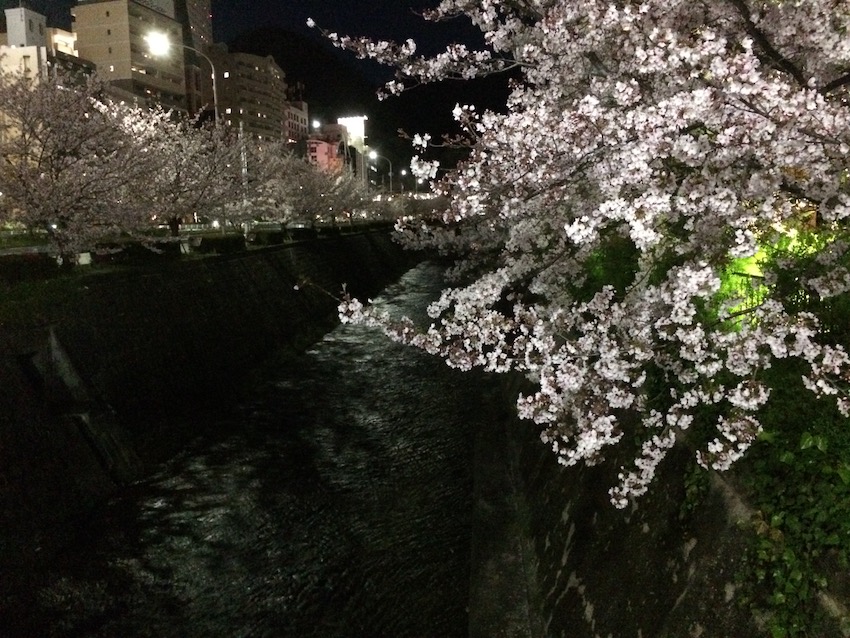 f:id:gemini-yahata:20200411132214j:plain f:id:gemini-yahata:20200411132214j:plain