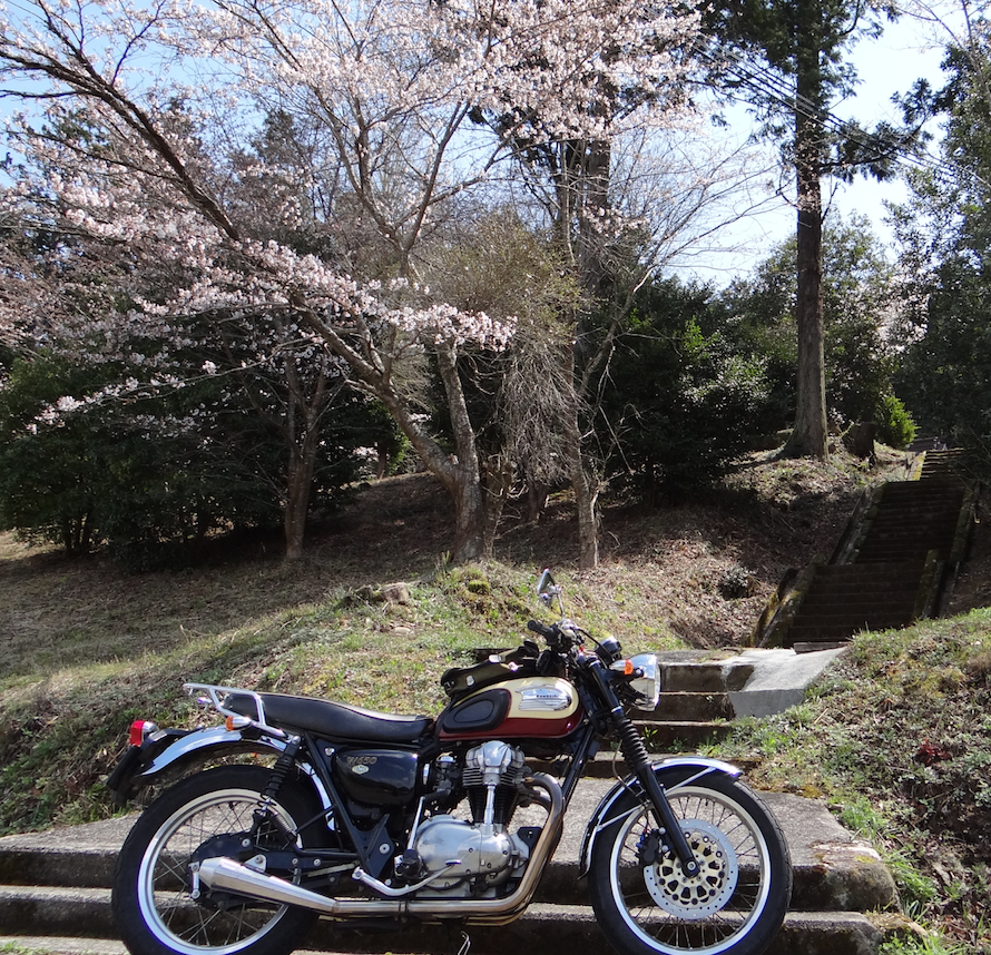 f:id:gemini-yahata:20200411160329p:plain f:id:gemini-yahata:20200411160329p:plain