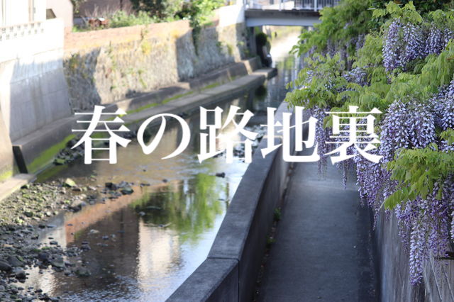 f:id:gemini-yahata:20200424195355j:plain