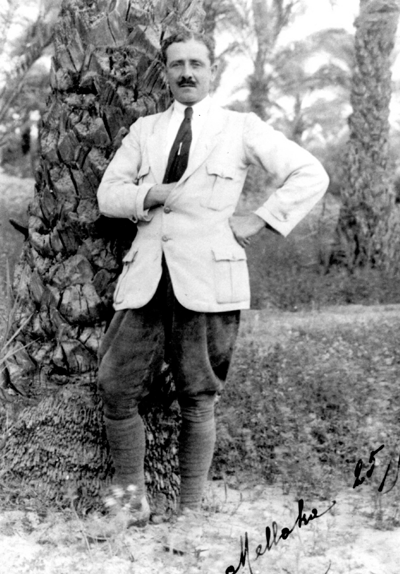 f:id:gemini-yahata:20201014113607j:plain