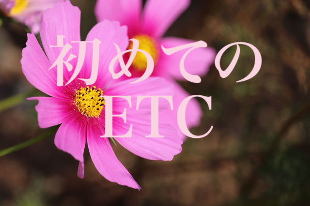 f:id:gemini-yahata:20201021114141j:plain