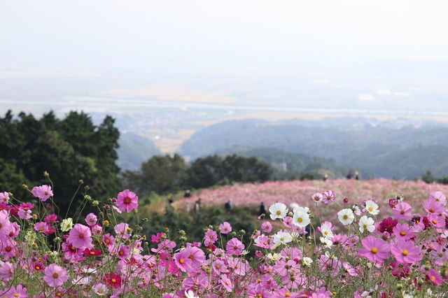 f:id:gemini-yahata:20201021131419j:plain