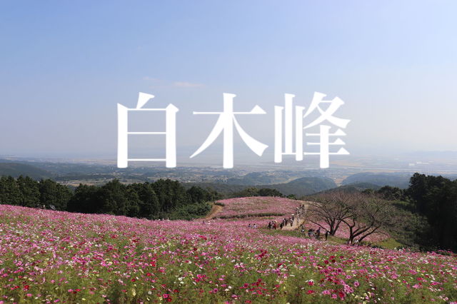 f:id:gemini-yahata:20201021133650j:plain