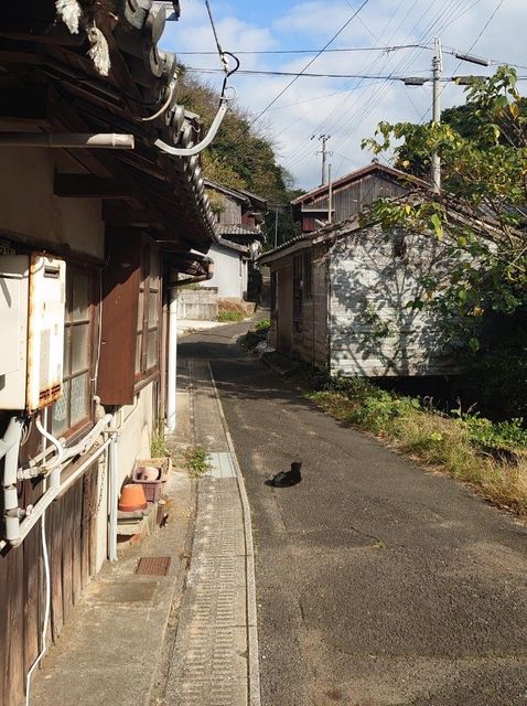 f:id:gemini-yahata:20201210114822j:plain