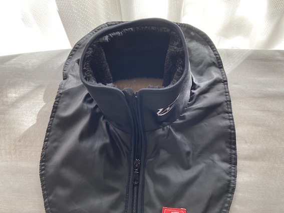 f:id:gemini-yahata:20201222125756j:plain