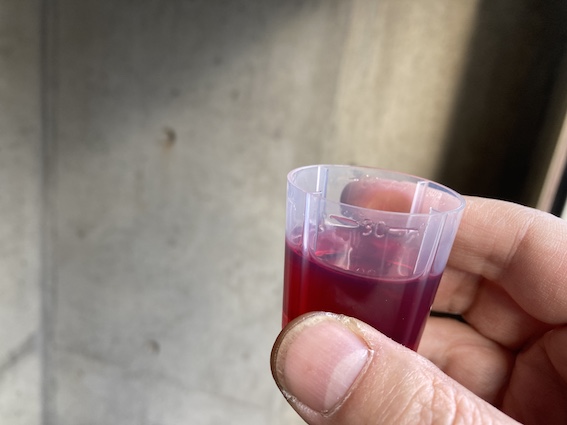 f:id:gemini-yahata:20201224150031j:plain