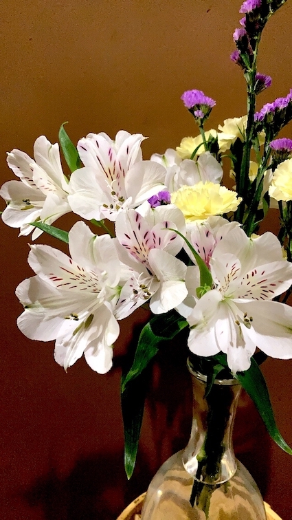 f:id:gemini-yahata:20210205151339j:plain