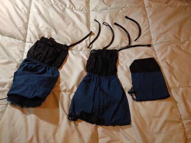 f:id:gemini-yahata:20210302120653j:plain