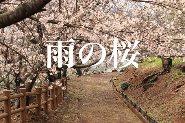 f:id:gemini-yahata:20210408203256j:plain