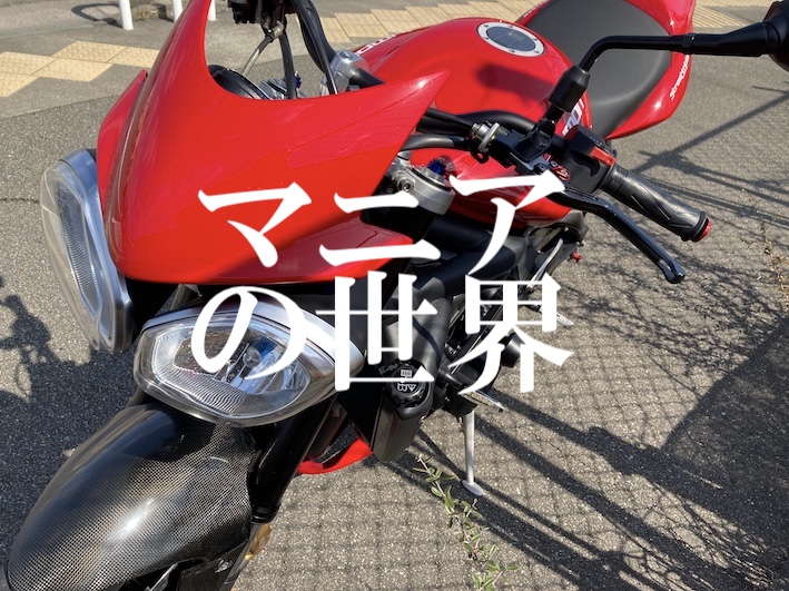f:id:gemini-yahata:20210412130819j:plain