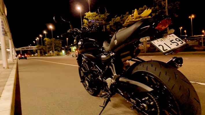 f:id:gemini-yahata:20210518130728j:plain