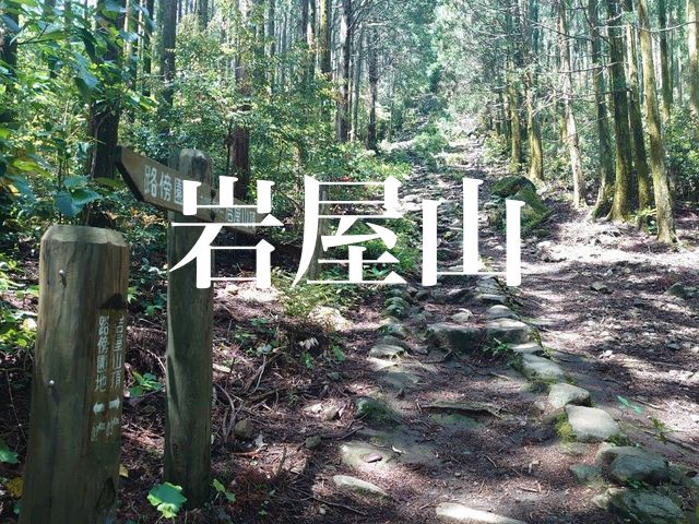 f:id:gemini-yahata:20210521130526j:plain