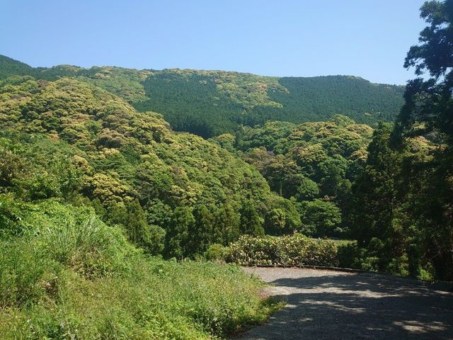 f:id:gemini-yahata:20210525131900j:plain