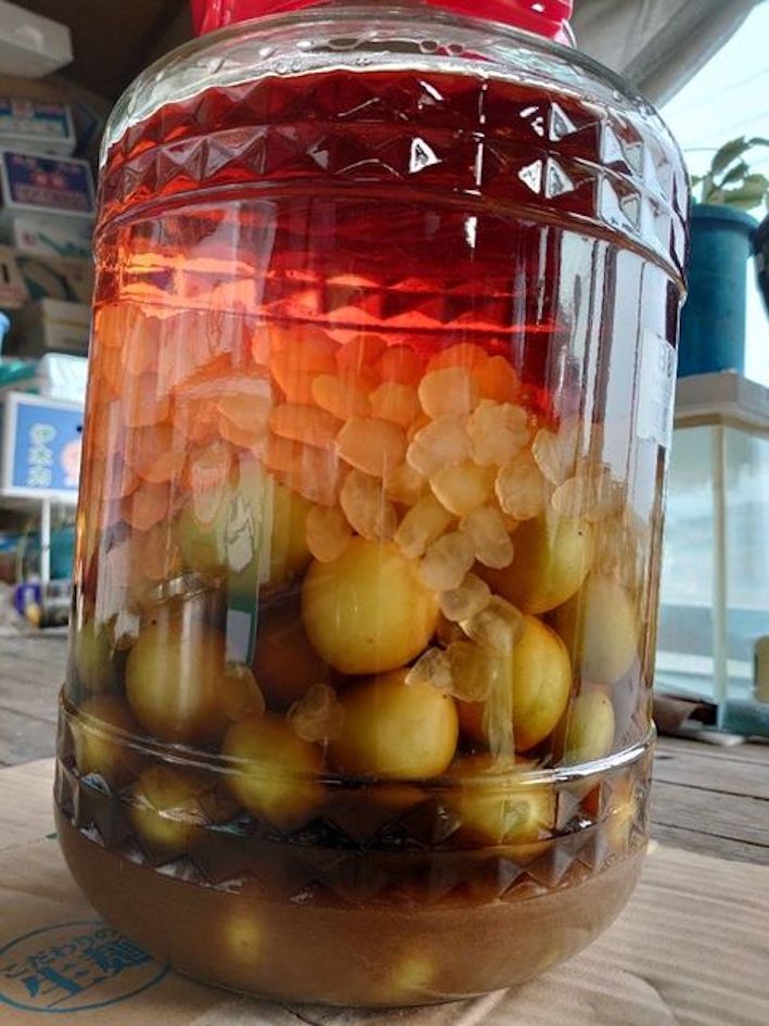 f:id:gemini-yahata:20210604111154j:plain