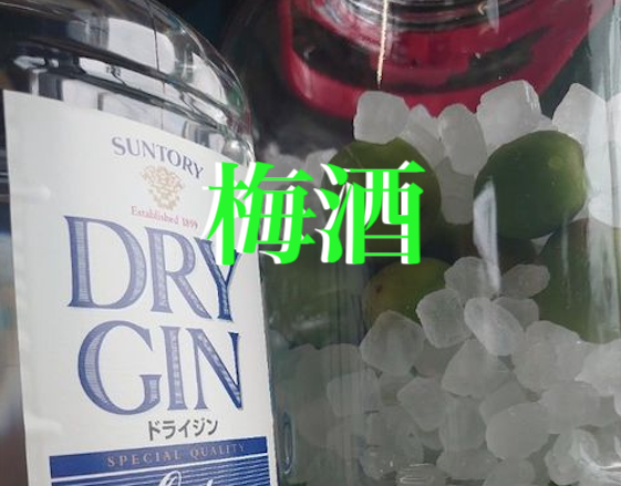 f:id:gemini-yahata:20210608192857p:plain