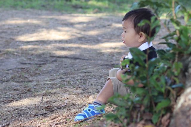 f:id:gemini-yahata:20211116120737j:plain