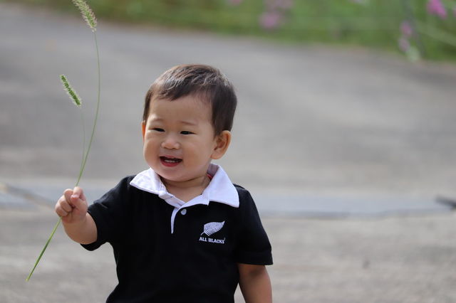 f:id:gemini-yahata:20211116120739j:plain