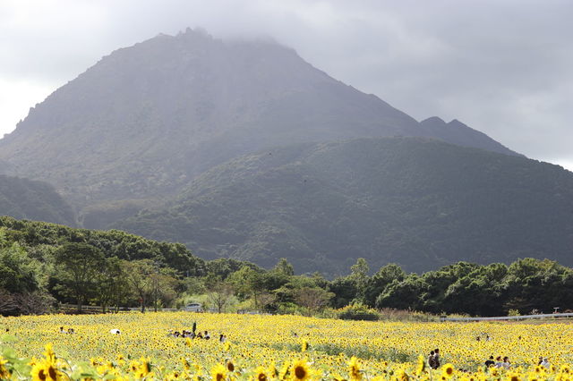 f:id:gemini-yahata:20211116120850j:plain