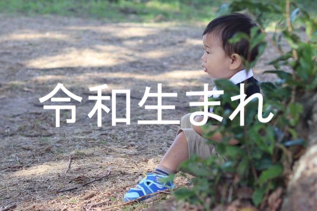 f:id:gemini-yahata:20211116121632j:plain