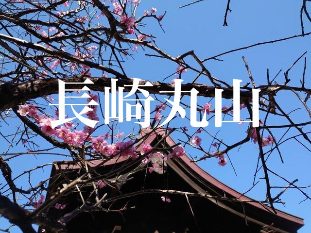 f:id:gemini-yahata:20220405151902j:plain