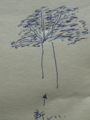 20130716215435