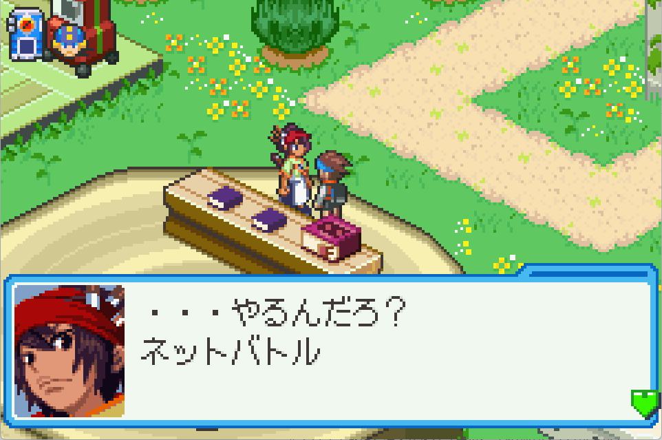 ロックマンエグゼ6 改造カード ファルザー グレイガ ダブル