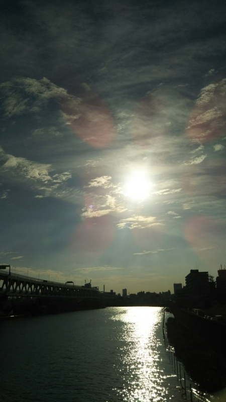 f:id:gemmu_touko:20171202154809j:image:w360