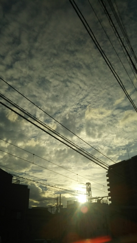 f:id:gemmu_touko:20171202155034j:image:w360