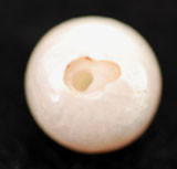 f:id:gemologist:20081003121010j:image
